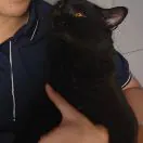 王一夫