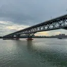 沐阳