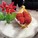 吃瓜喵